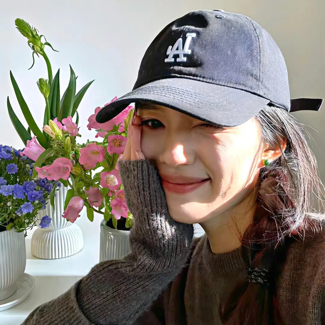 雏菊 海报
