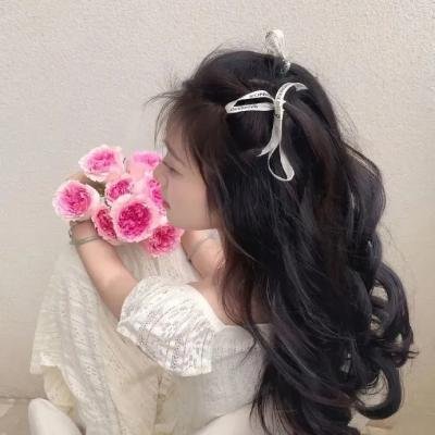 穿越时空的少女 海报